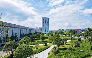 中安厂区绿化环境