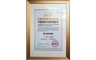中国品牌500强 