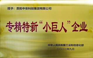 国家级专精特新“小巨人”企业 
