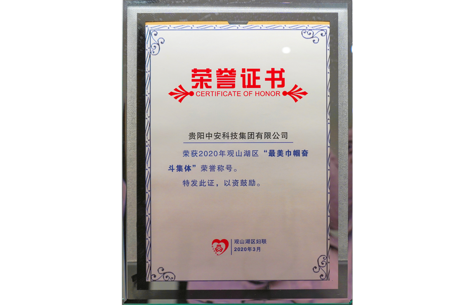 2020年观山湖区“最美巾帼奋斗集体”