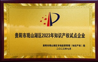 贵阳市观山湖区2023年知识产权试点企业